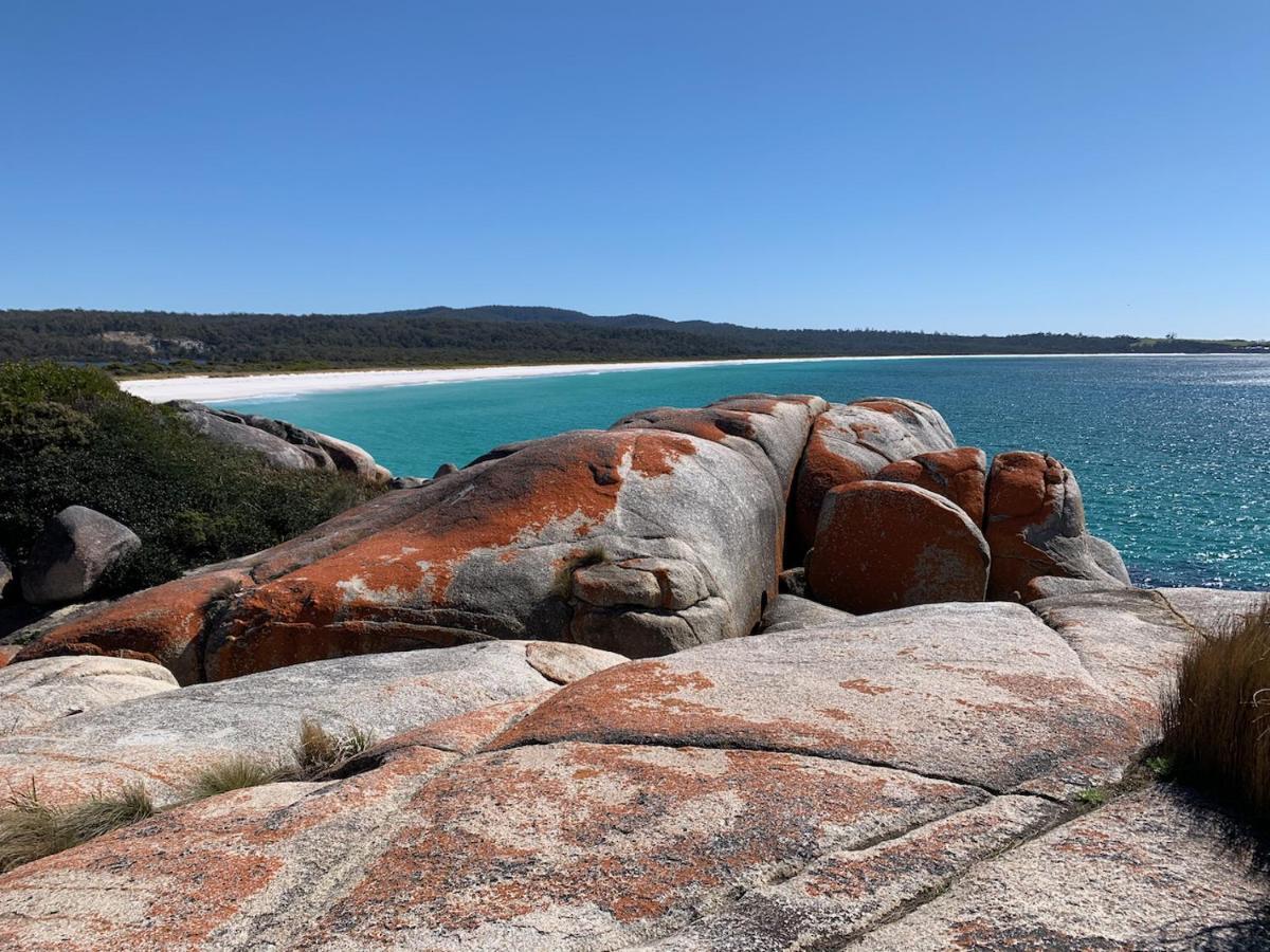 Binalong Bay Bay Of Fires Great Escape 빌라 외부 사진