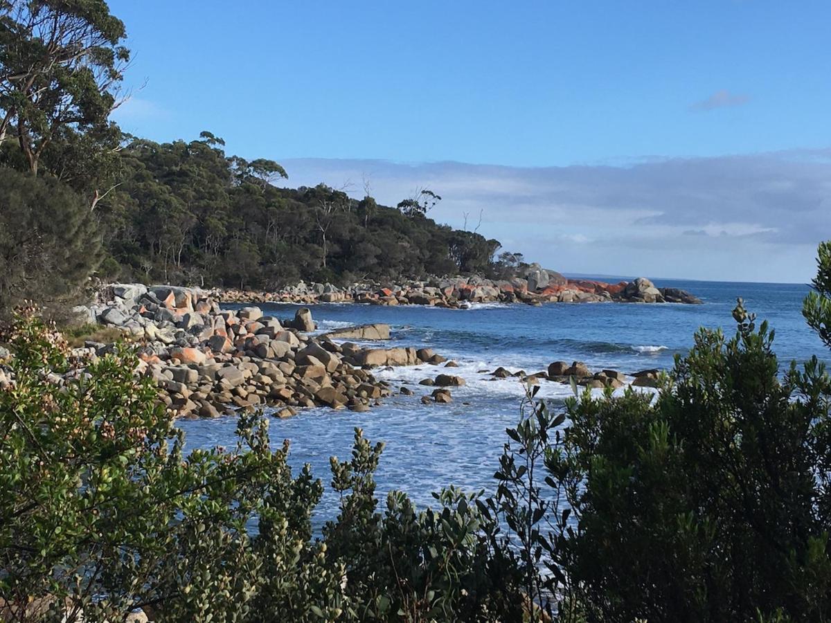 Binalong Bay Bay Of Fires Great Escape 빌라 외부 사진